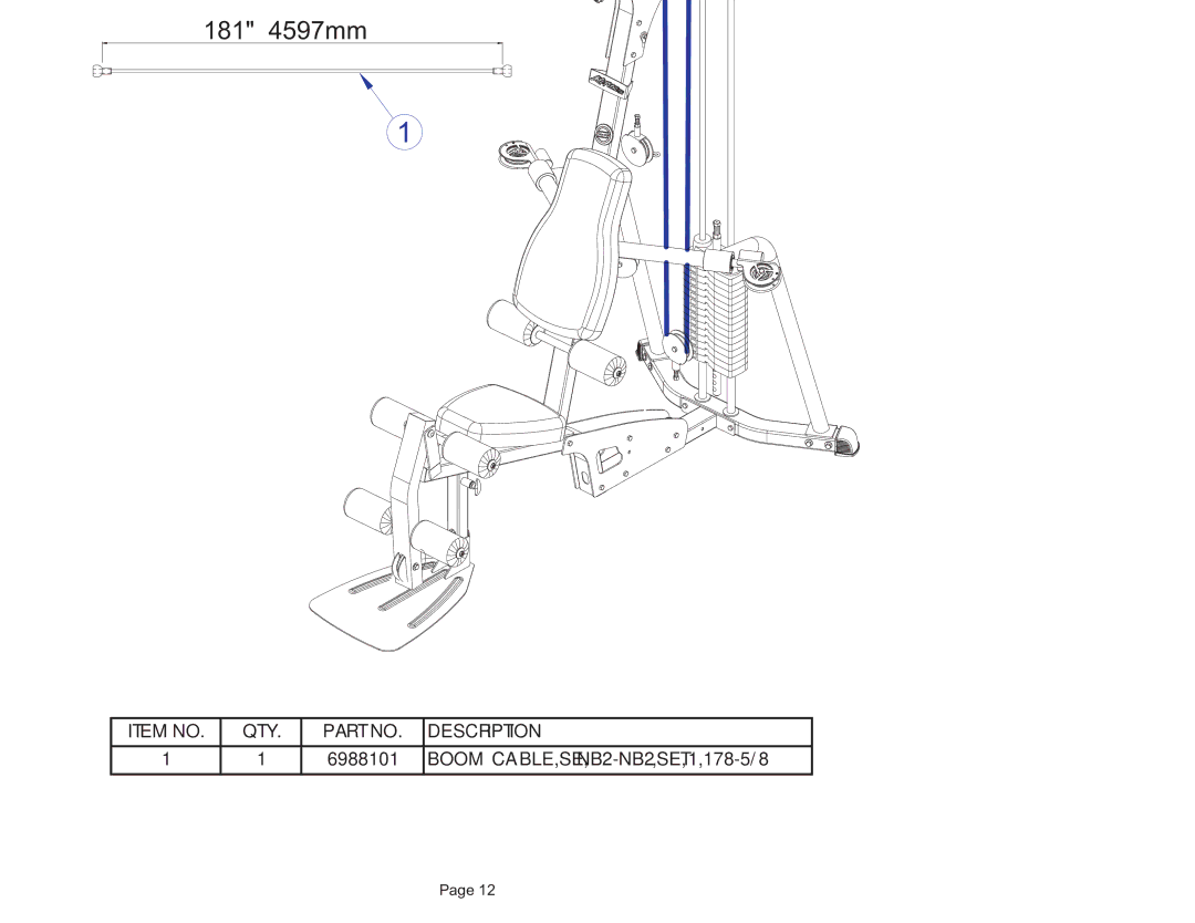 Life Fitness G3-001 manual Boom Cable 