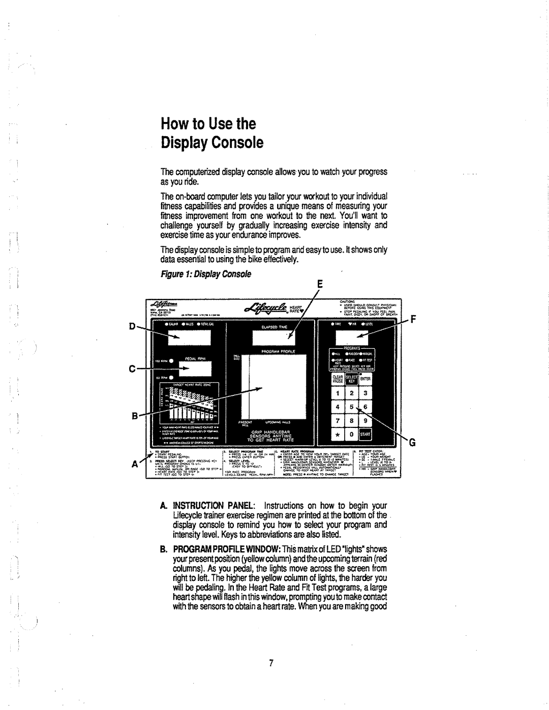 Life Fitness LC-6500HR manual 