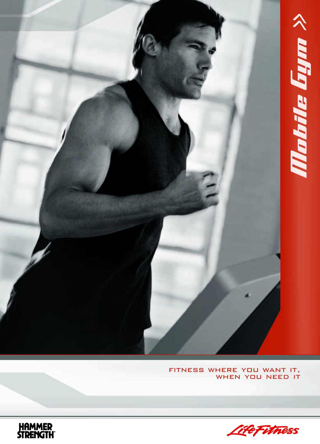 Life Fitness Mobile Gym manual Fitness where you want it, when you need it 