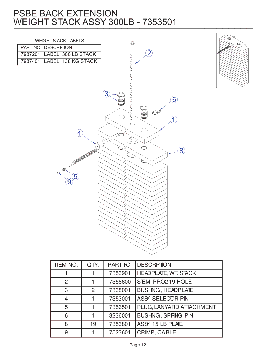 Life Fitness PSBE manual Psbe Back Extension Weight Stack Assy 300LB 