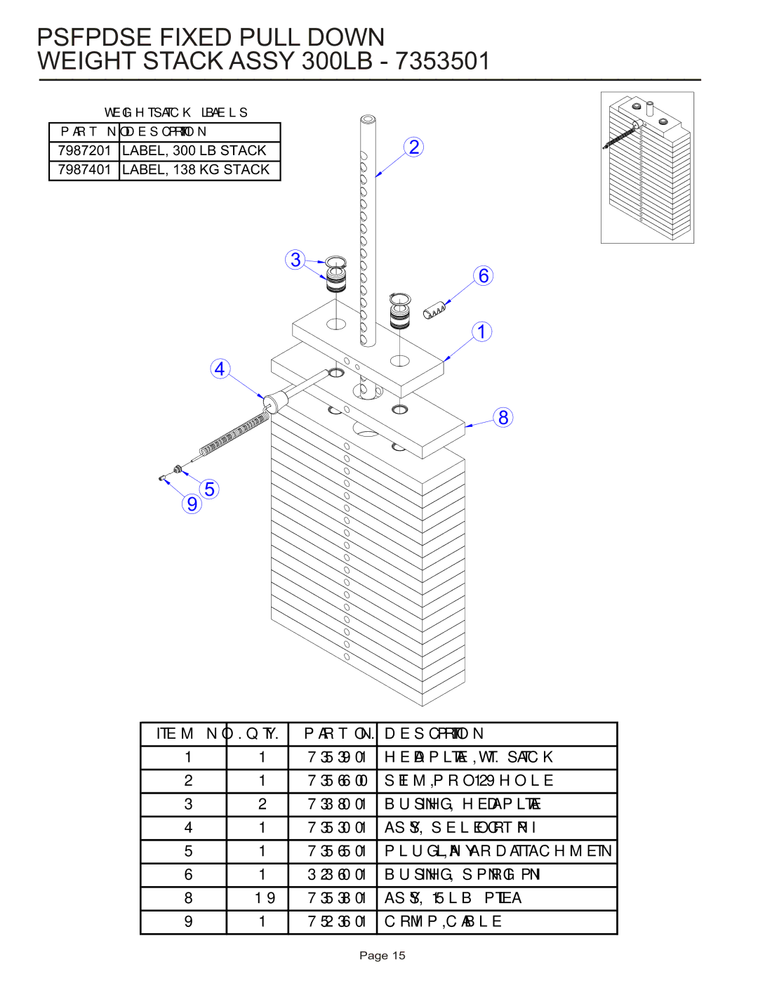 Life Fitness PSFPDSE manual Psfpdse Fixed Pull Down Weight Stack Assy 300LB 