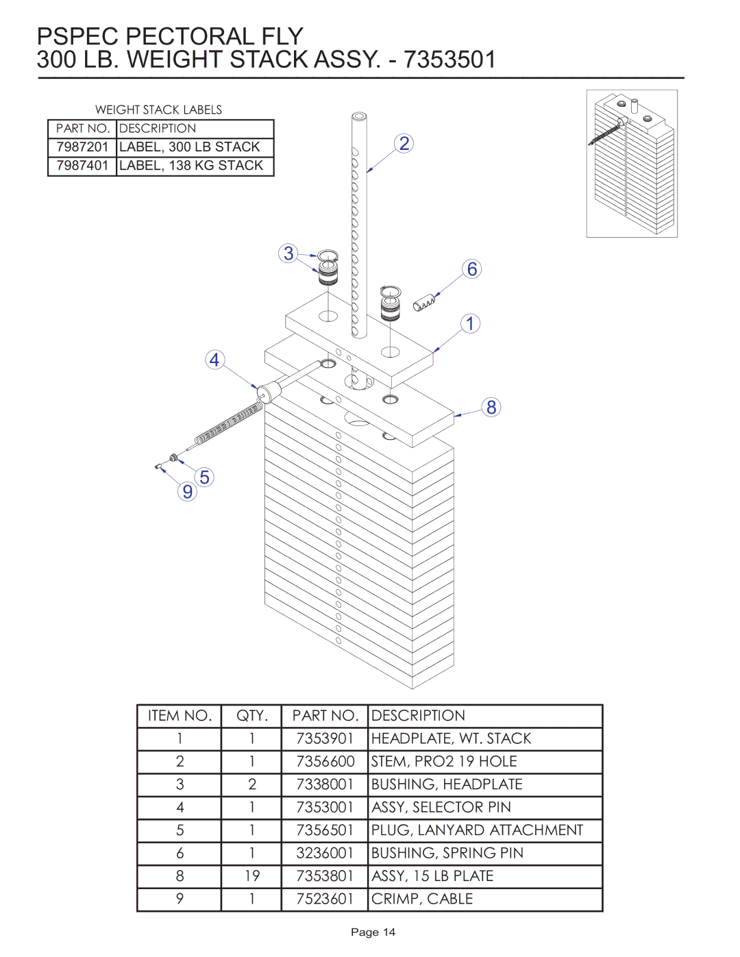 Life Fitness PSPEC manual 300 LB. Weight Stack Assy 