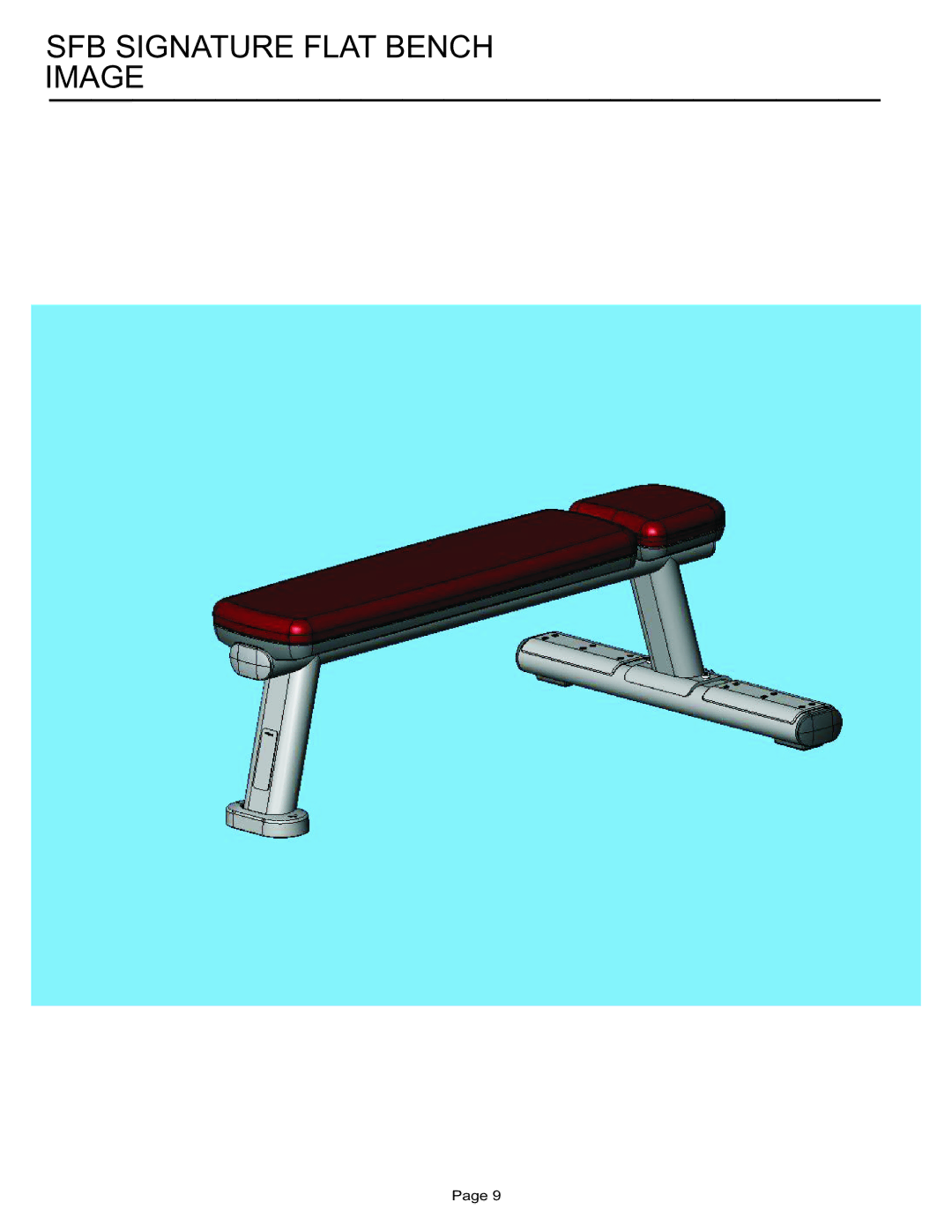 Life Fitness manual SFB Signature Flat Bench Image 