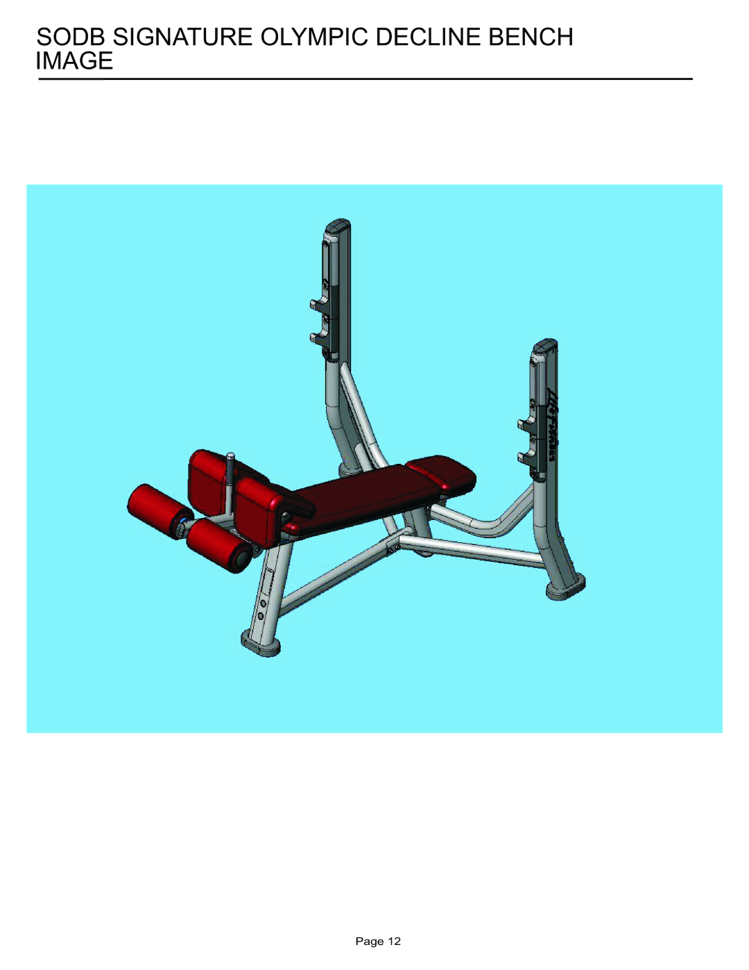 Life Fitness SODB manual Sodb Signature Olympic Decline Bench Image 