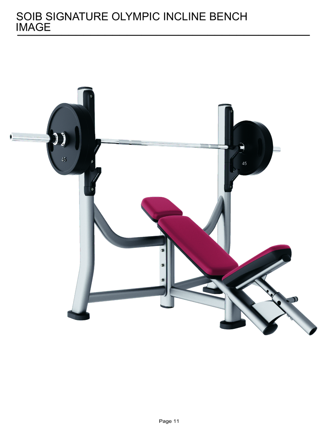 Life Fitness SOIB manual Soib Signature Olympic Incline Bench Image 