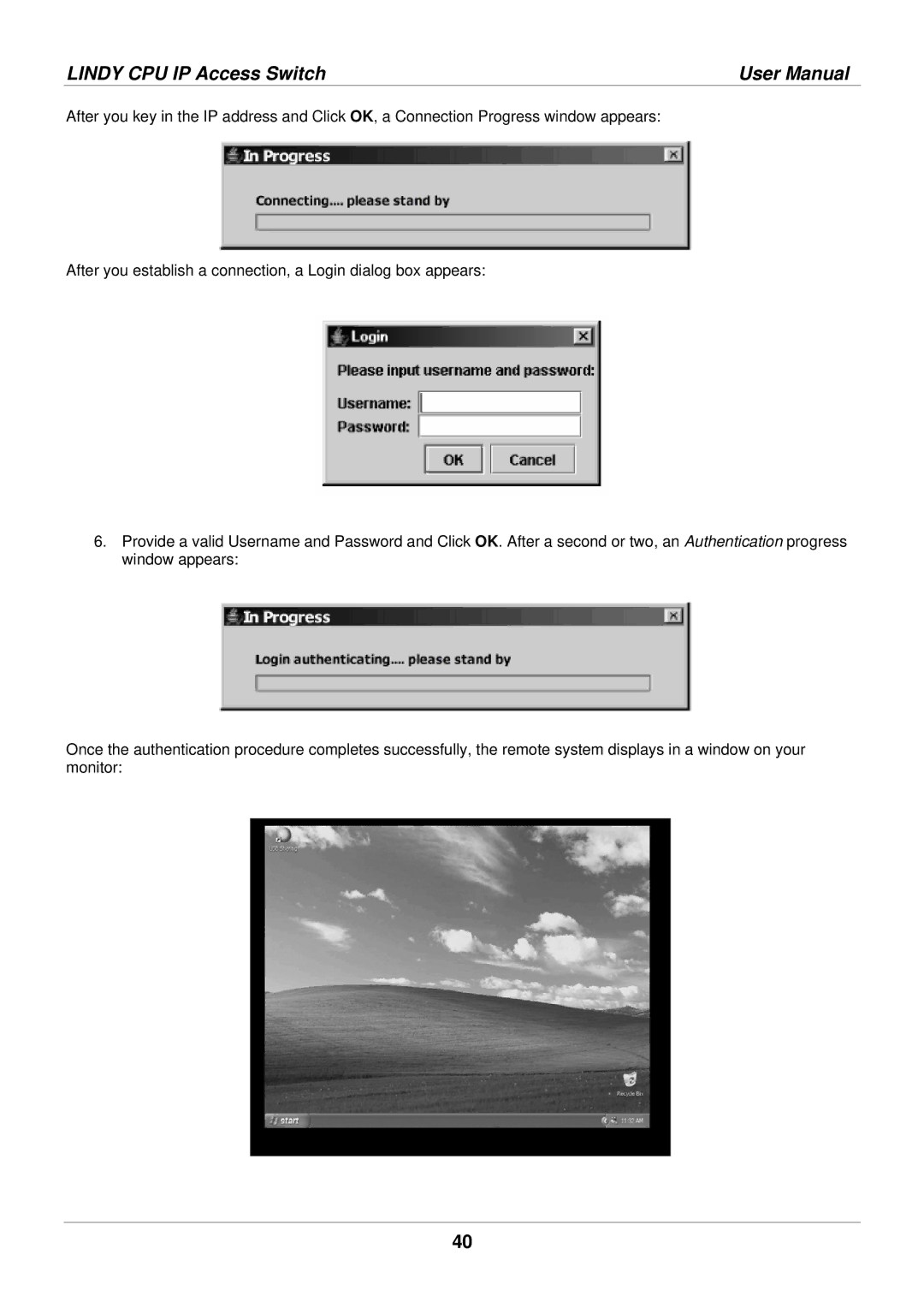 Lindy 39401 user manual Lindy CPU IP Access Switch 