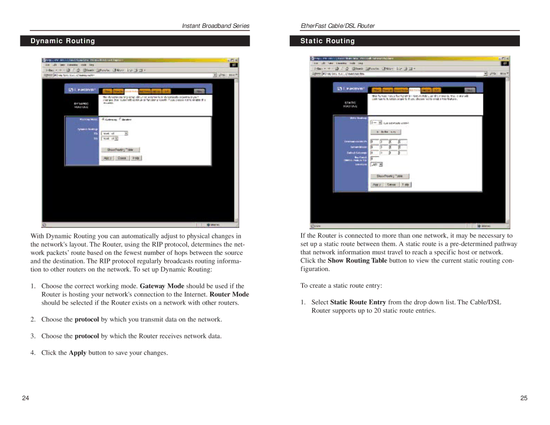 Linksys BEFSR81 manual Dynamic Routing Static Routing 