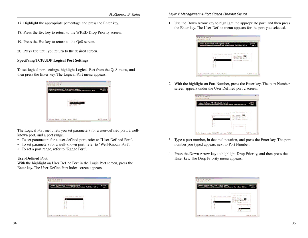 Linksys PC22604 manual Specifying TCP/UDP Logical Port Settings, User-Defined Port 