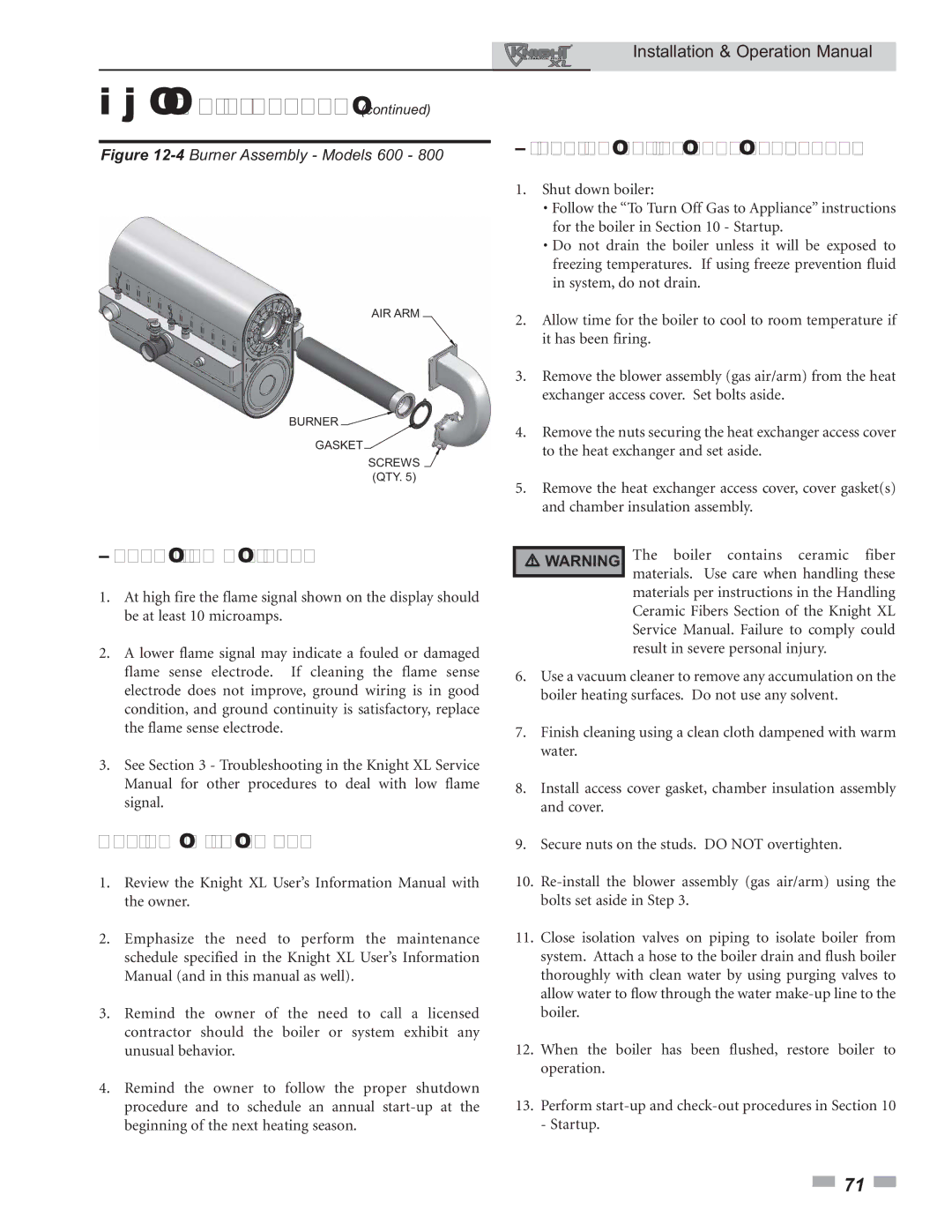 Lochinvar 800 operation manual Check flame signal, Review with owner, Cleaning boiler heat exchanger 