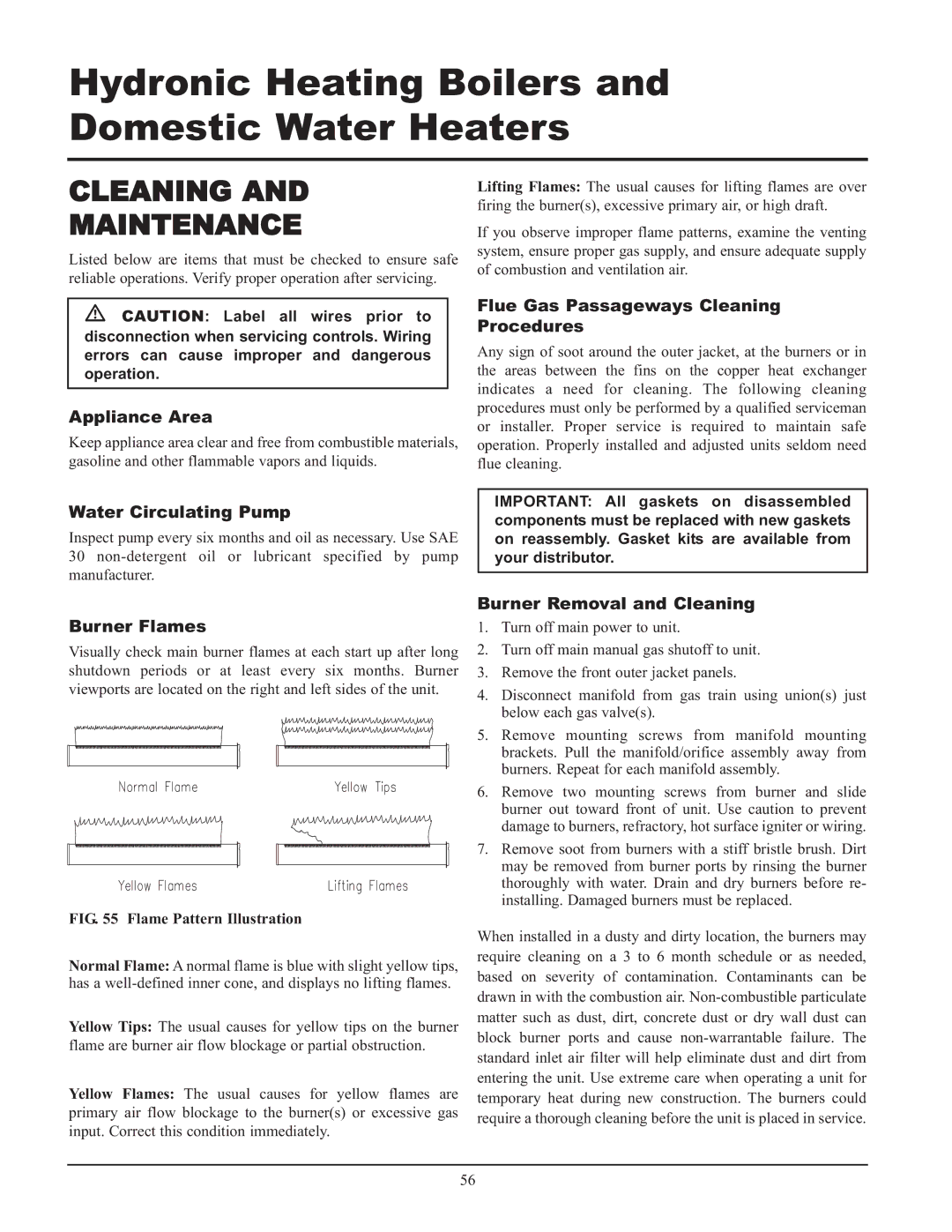 Lochinvar 399, 999 - 750 Appliance Area, Water Circulating Pump, Flue Gas Passageways Cleaning Procedures, Burner Flames 