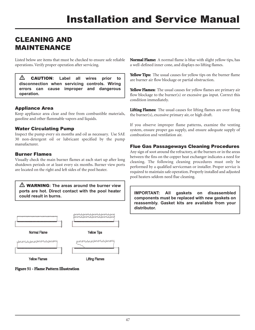 Lochinvar F0600187510 Appliance Area, Water Circulating Pump, Burner Flames, Flue Gas Passageways Cleaning Procedures 