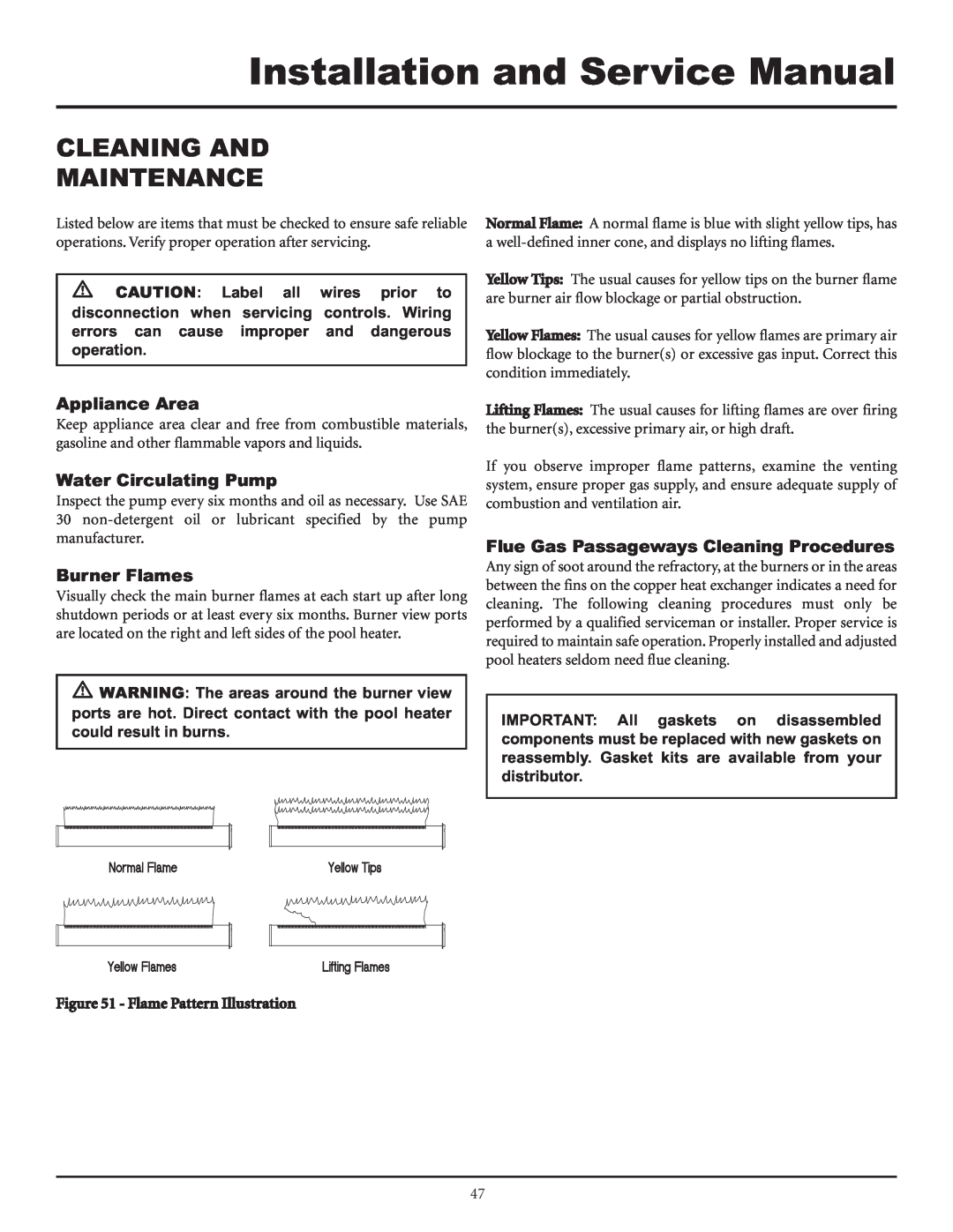Lochinvar F0600187510 service manual Cleaning And Maintenance, Appliance Area, Water Circulating Pump, Burner Flames 