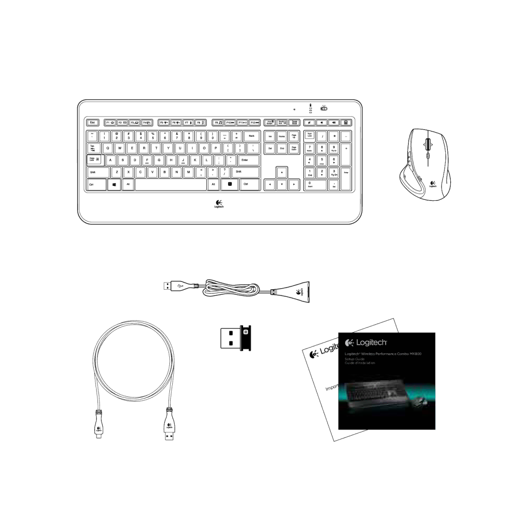 Logitech MX800 setup guide 