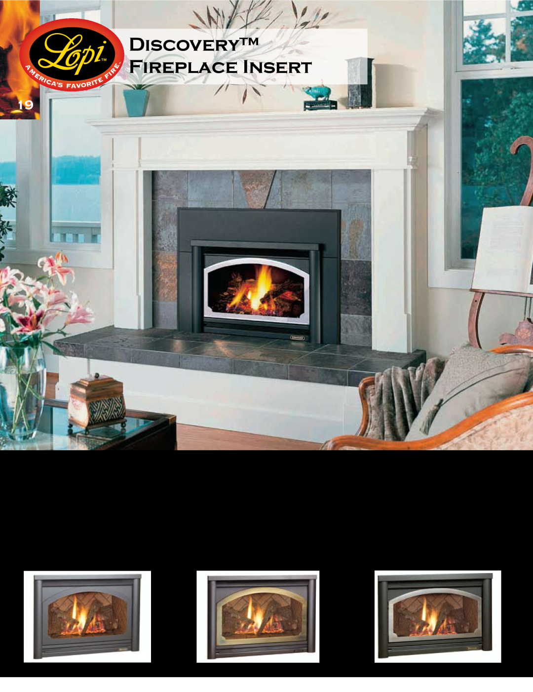 Lopi Gas Stove And Fireplace manual Discovery Fireplace Insert, Antique Gold Plated Door 