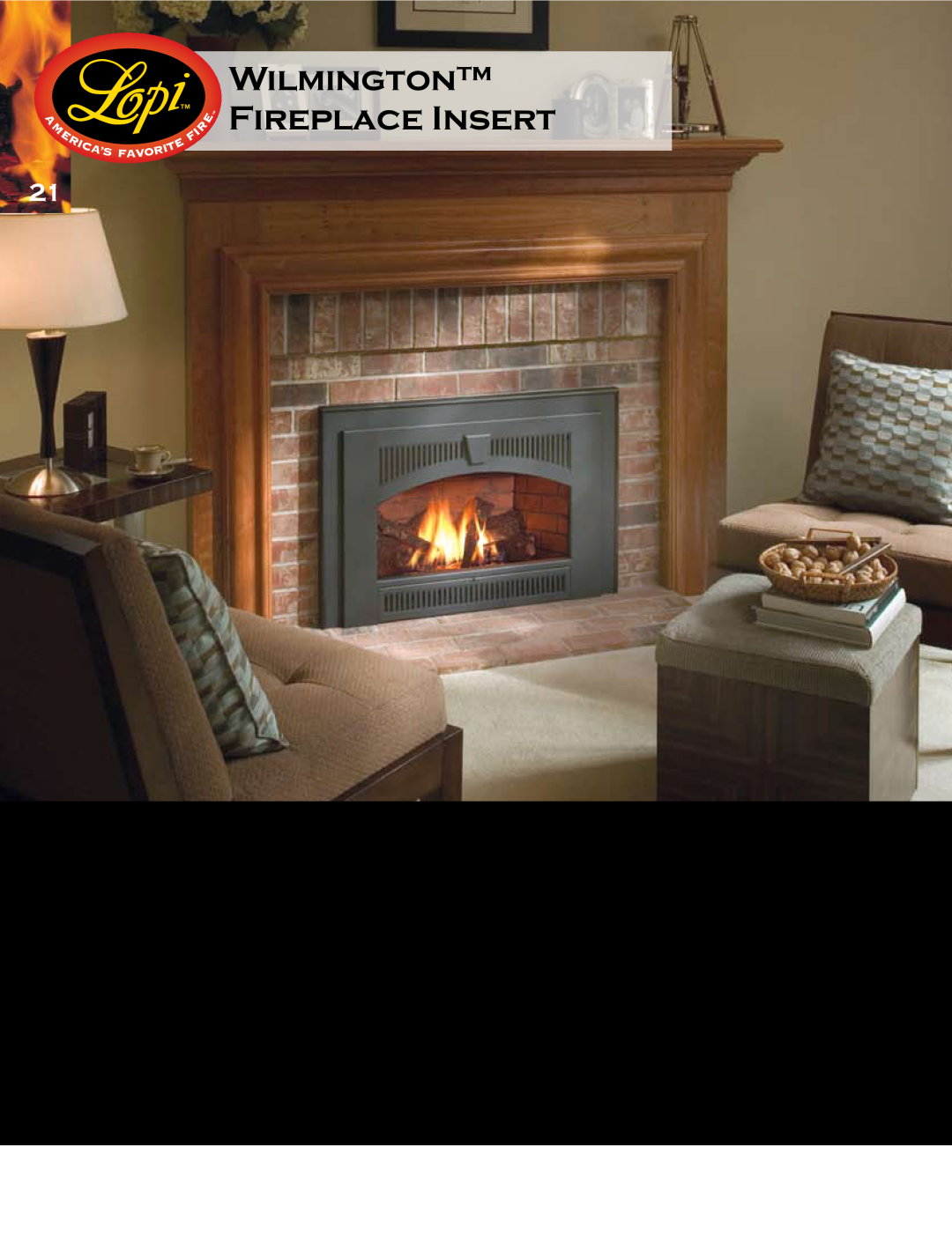 Lopi Gas Stove And Fireplace manual Wilmington Fireplace Insert 