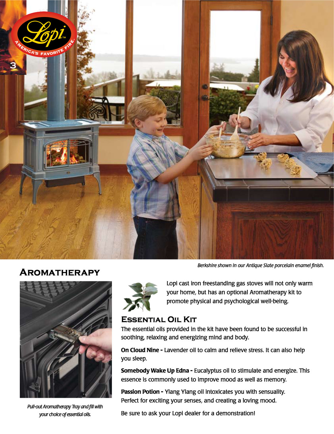 Lopi Gas Stove And Fireplace manual Aromatherapy, Essential Oil Kit 