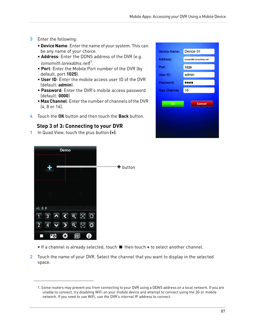 LOREX Technology LH010 ECO BLACKBOX SERIES instruction manual Connecting to your DVR, Tomsmith.lorexddns.net1 