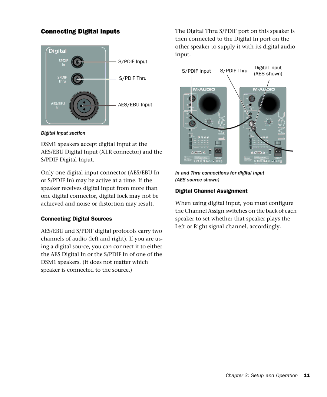 M-Audio DSM1 manual Connecting Digital Inputs, Pdif Input Pdif Thru Digital Input AES shown 