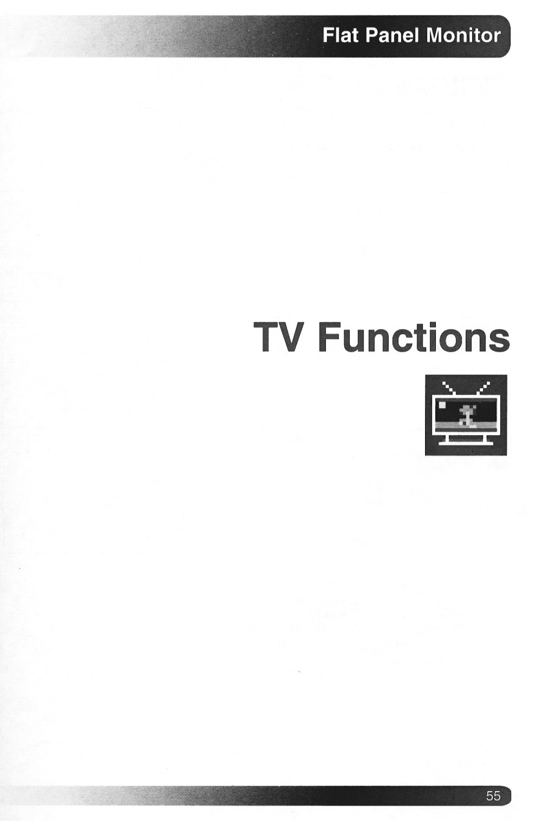 Magnavox Plasma Television manual 