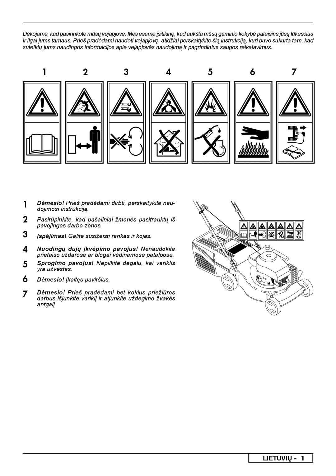 McCulloch 966531801, 966531901, 966489001, 966485901, 966532001 instruction manual Lietuvių 