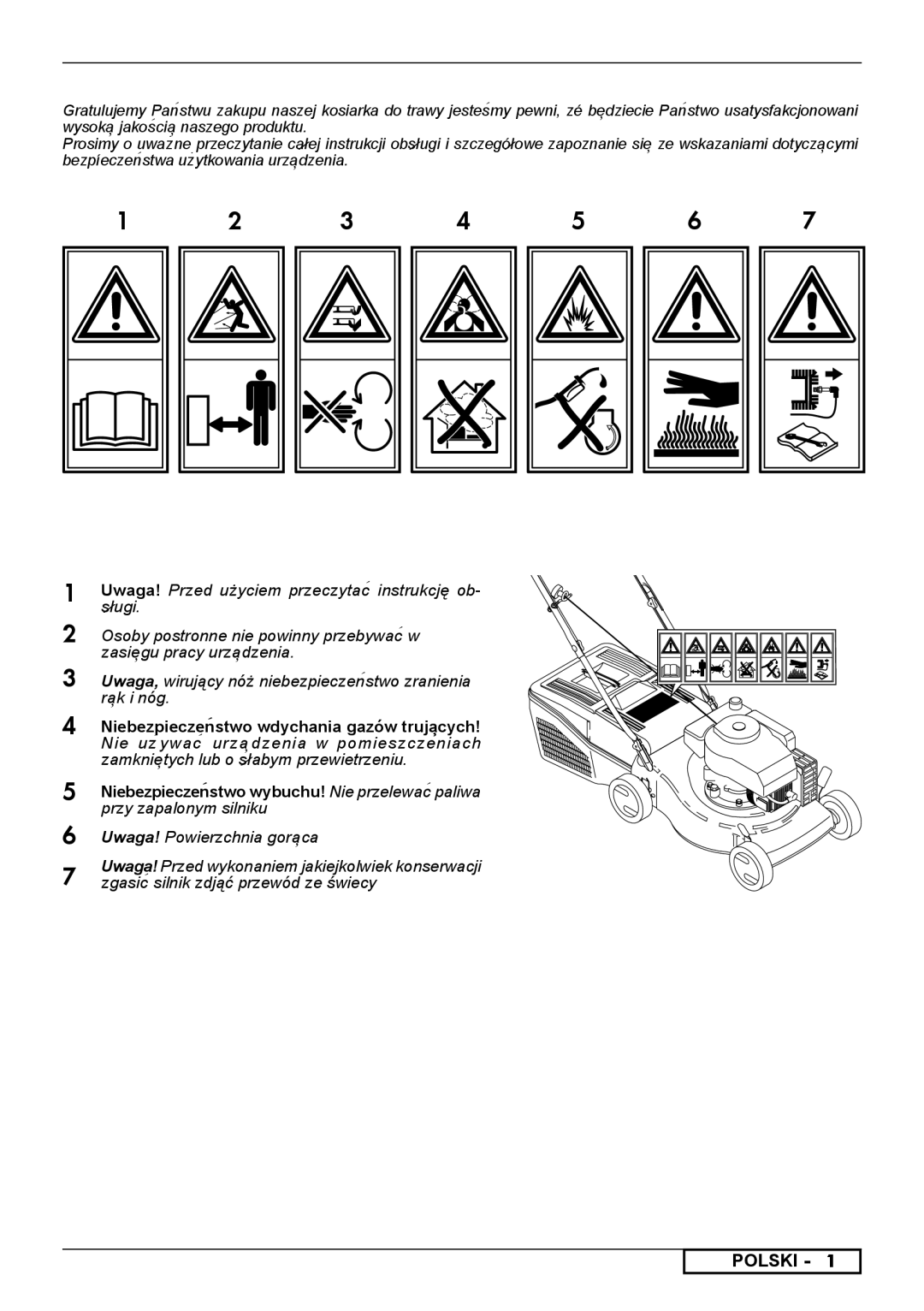 McCulloch 966485901, 966531901, 966531801, 966489001, 966532001 instruction manual Polski 