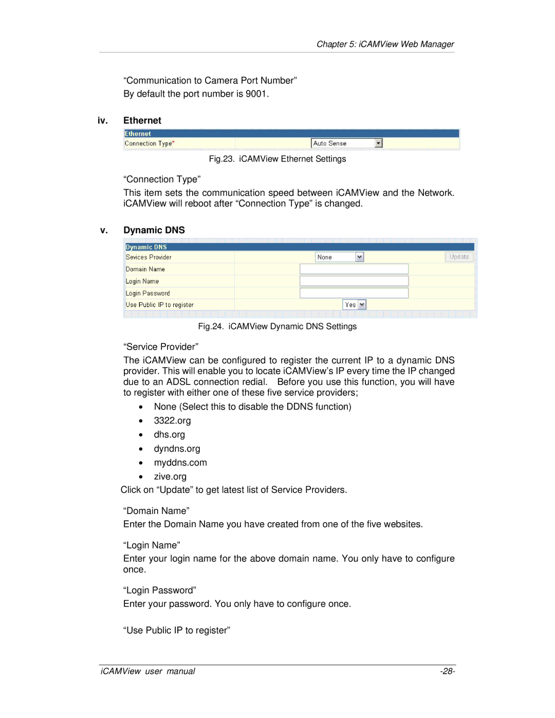 Mega System Tech iCV-03, iCV-02, iCV-01a, iCV-01b manual Iv. Ethernet, Dynamic DNS 