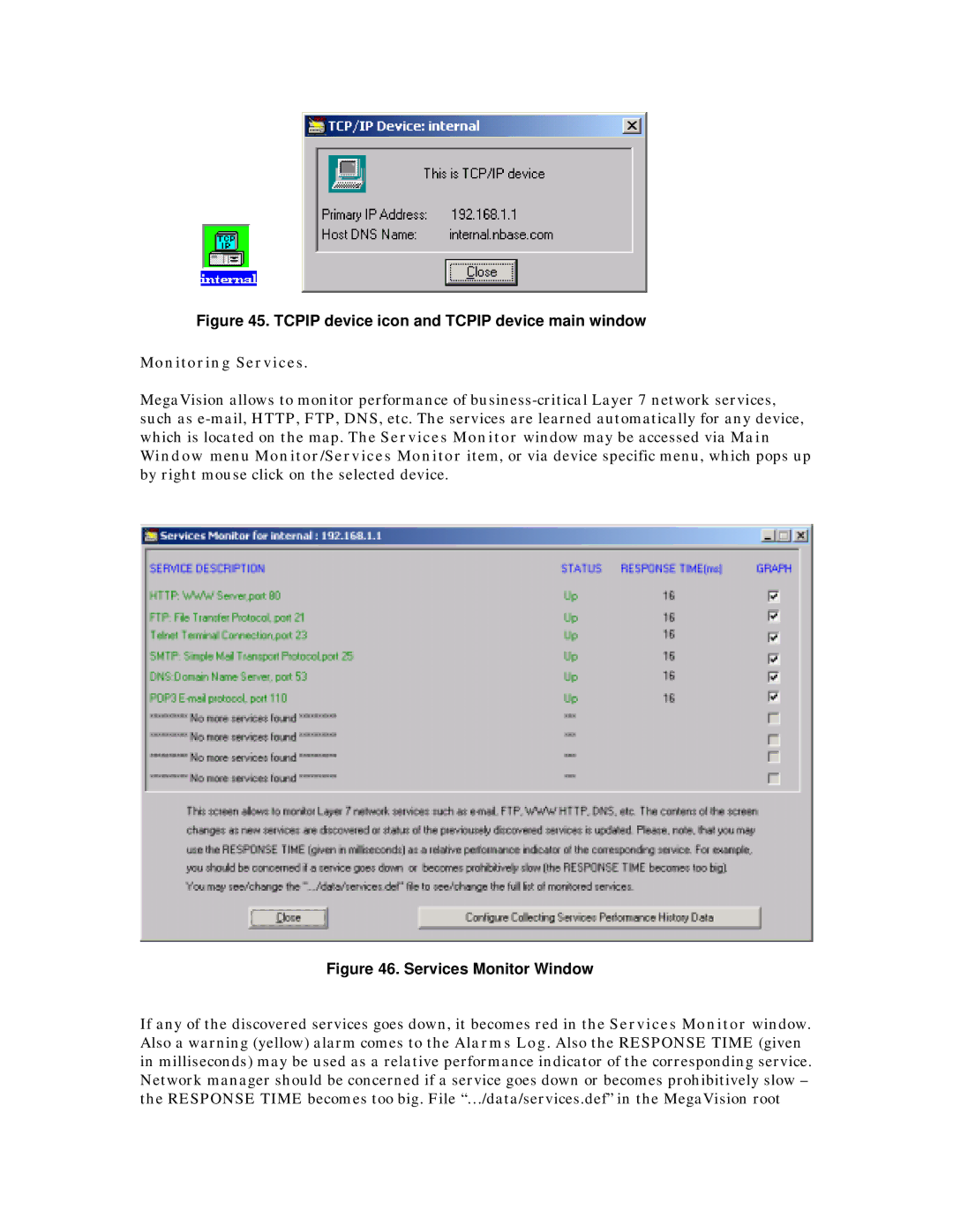 MegaVision Network Management System manual Monitoring Services 