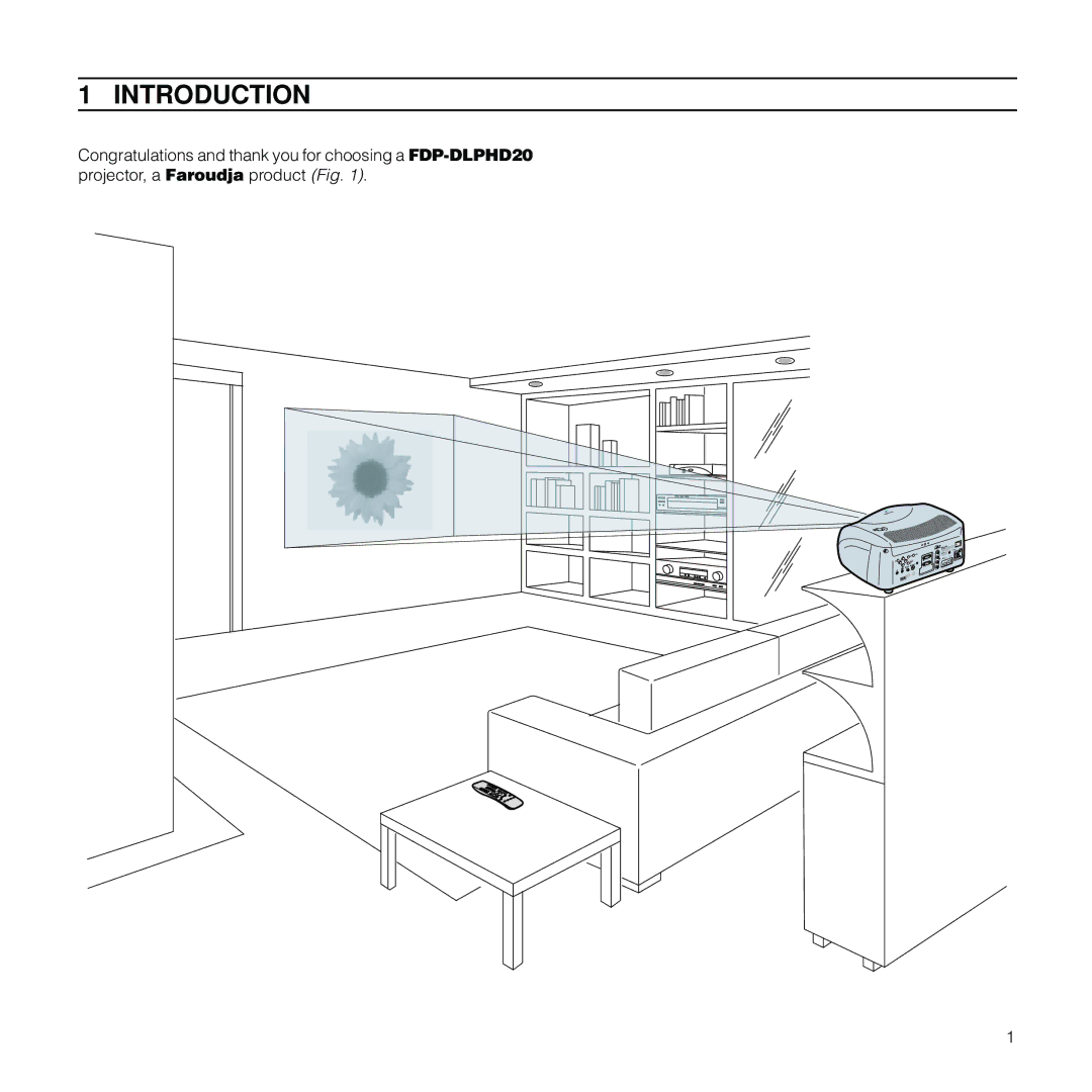 Meridian Audio FDP-DLPHD20 installation manual Introduction 