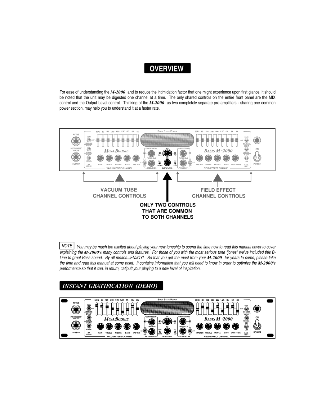 Mesa/Boogie M 2000 owner manual Overview 