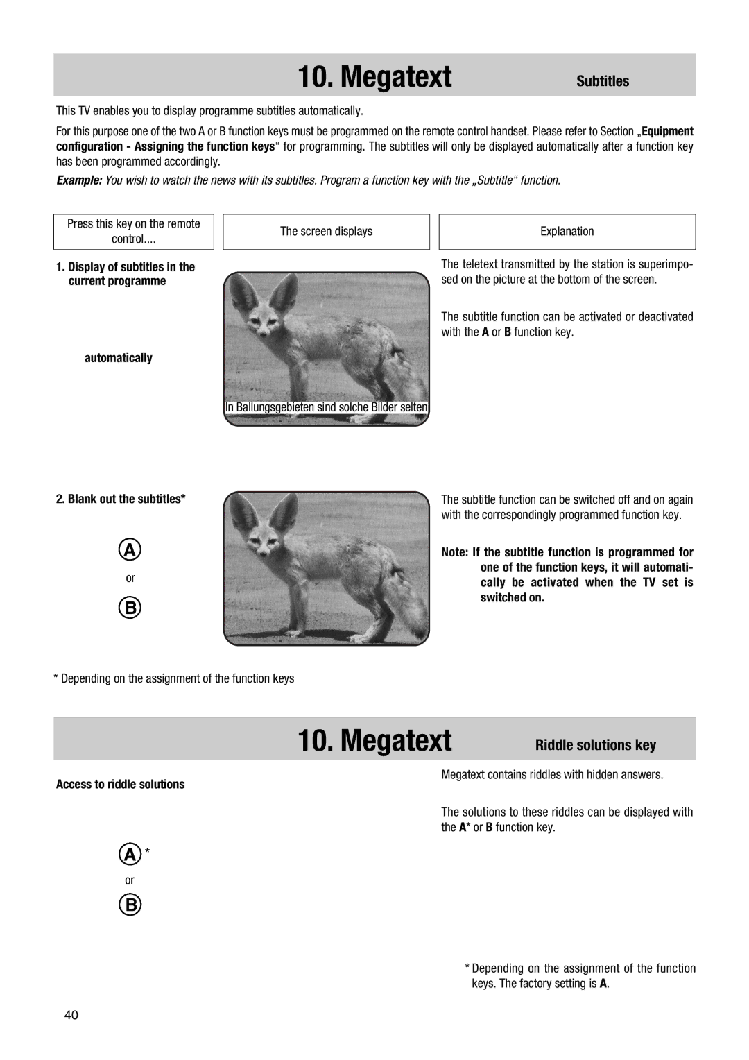 Metz 63 TF 51, 70 TF 53 manual Subtitles, Riddle solutions key, Automatically, Blank out the subtitles 