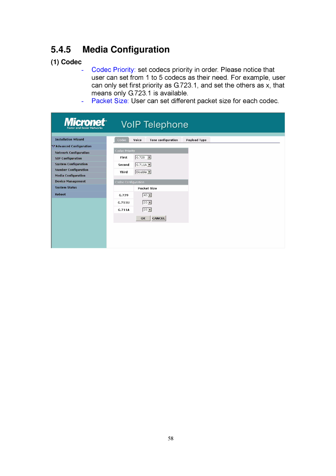 MicroNet Technology SP5101 manual Media Configuration, Codec 