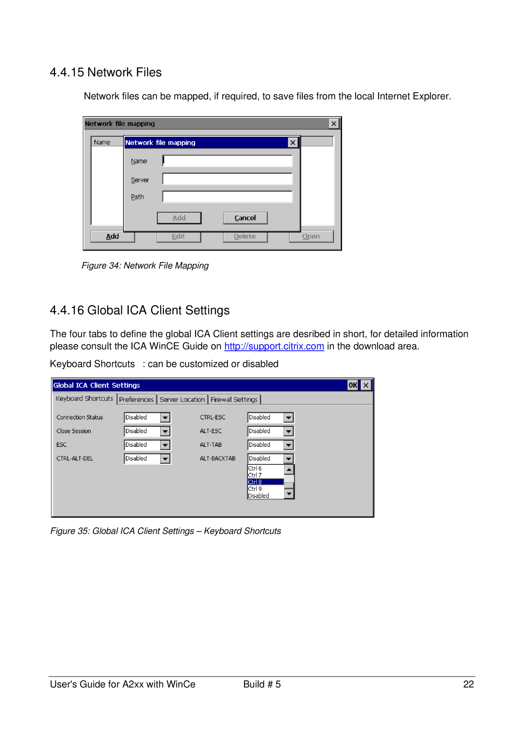 Microsoft A2xx manual Network Files, Global ICA Client Settings 