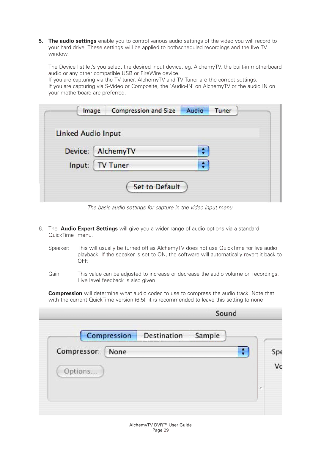 Miglia Technology AlchemyTV DVR manual Basic audio settings for capture in the video input menu 