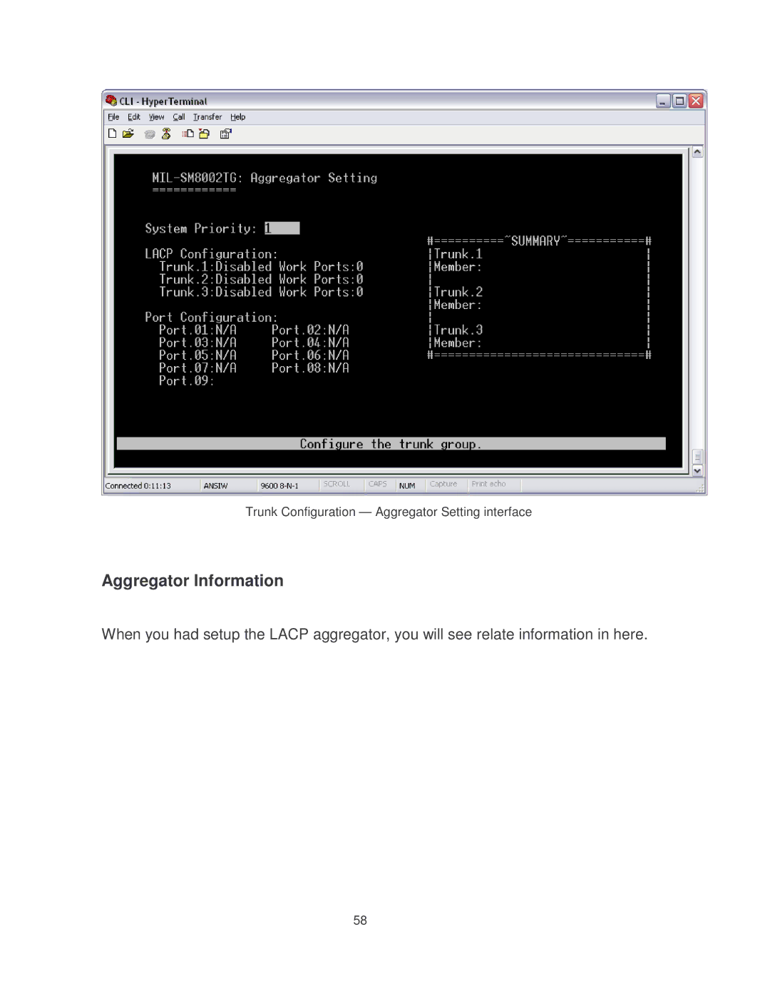 Milan Technology MIL-SM8002TG manual Aggregator Information 