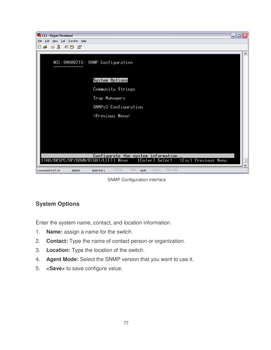 Milan Technology MIL-SM8002TG manual System Options 