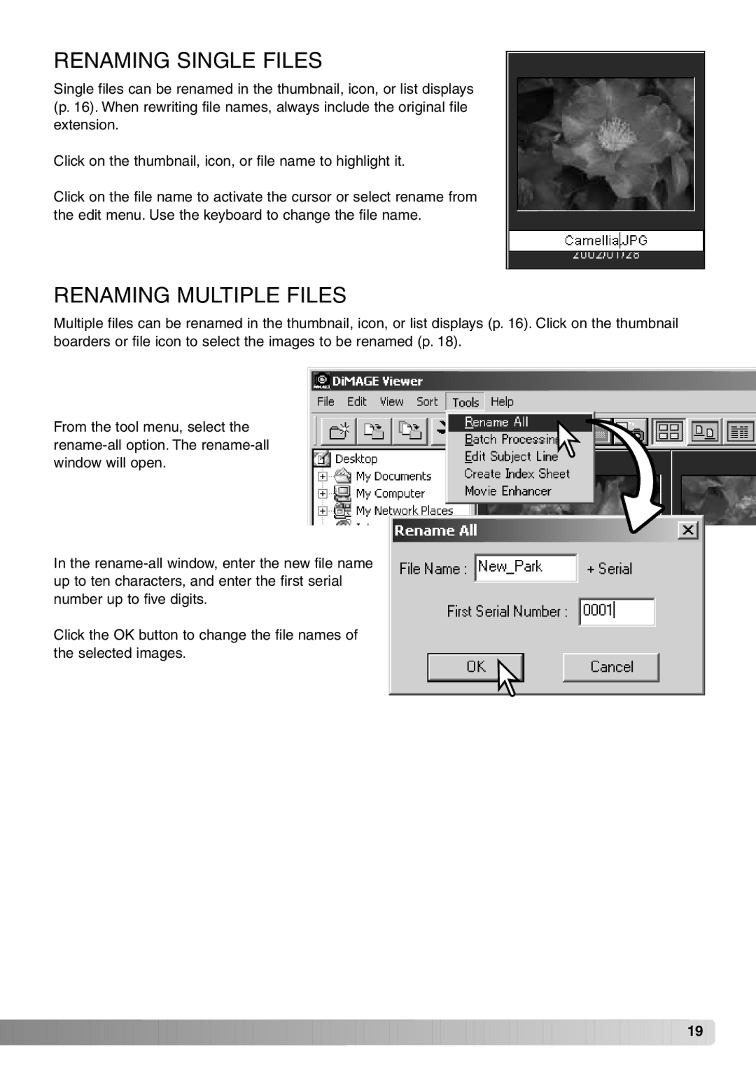 Minolta DiMAGE Viewer instruction manual Renaming Single Files, Renaming Multiple Files 