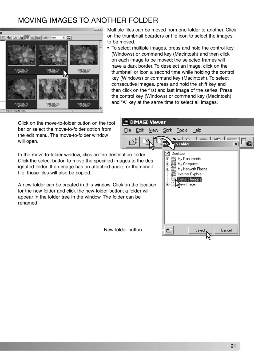 Minolta DiMAGE Viewer instruction manual Moving Images to Another Folder 