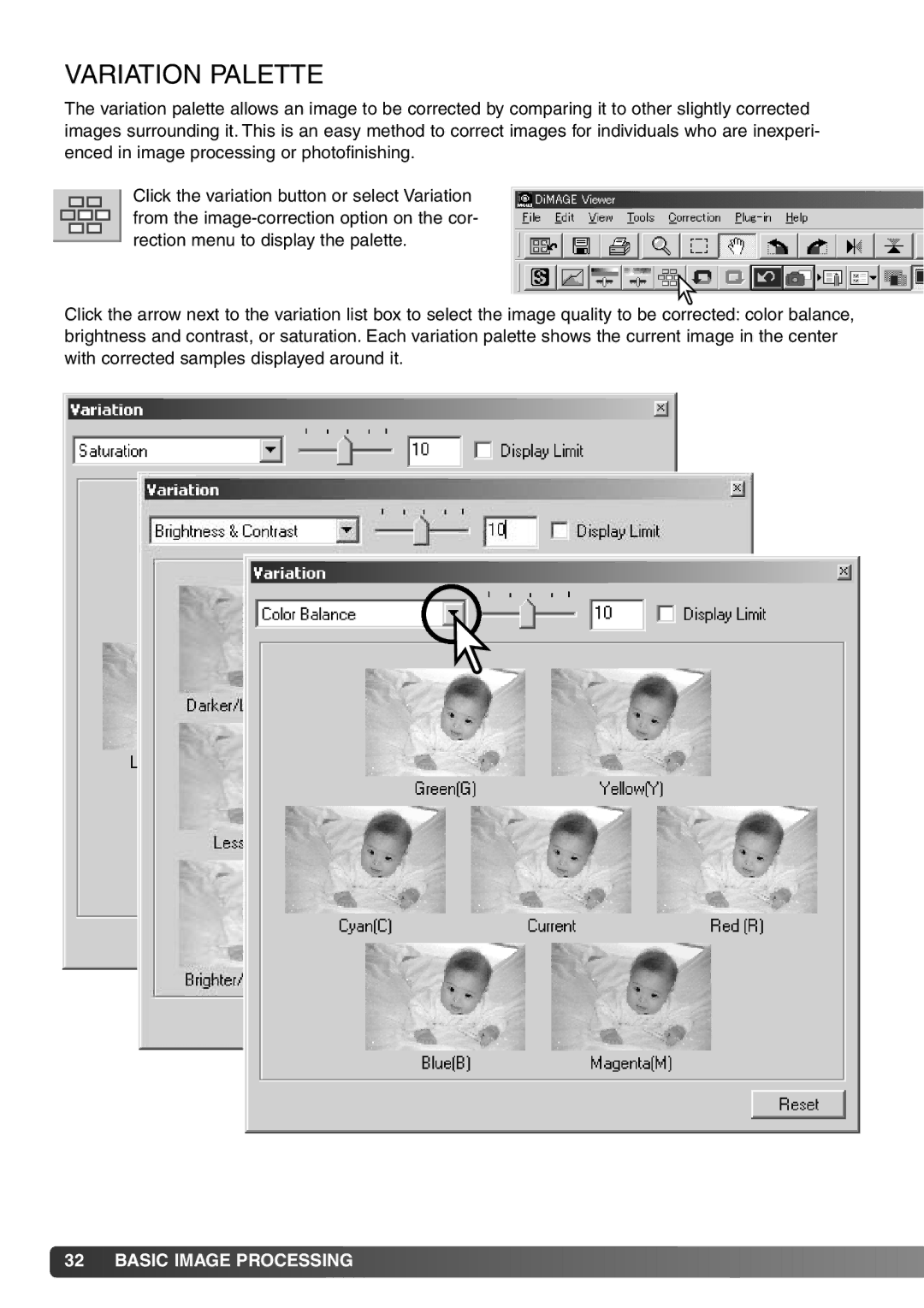 Minolta DiMAGE Viewer instruction manual Variation Palette 