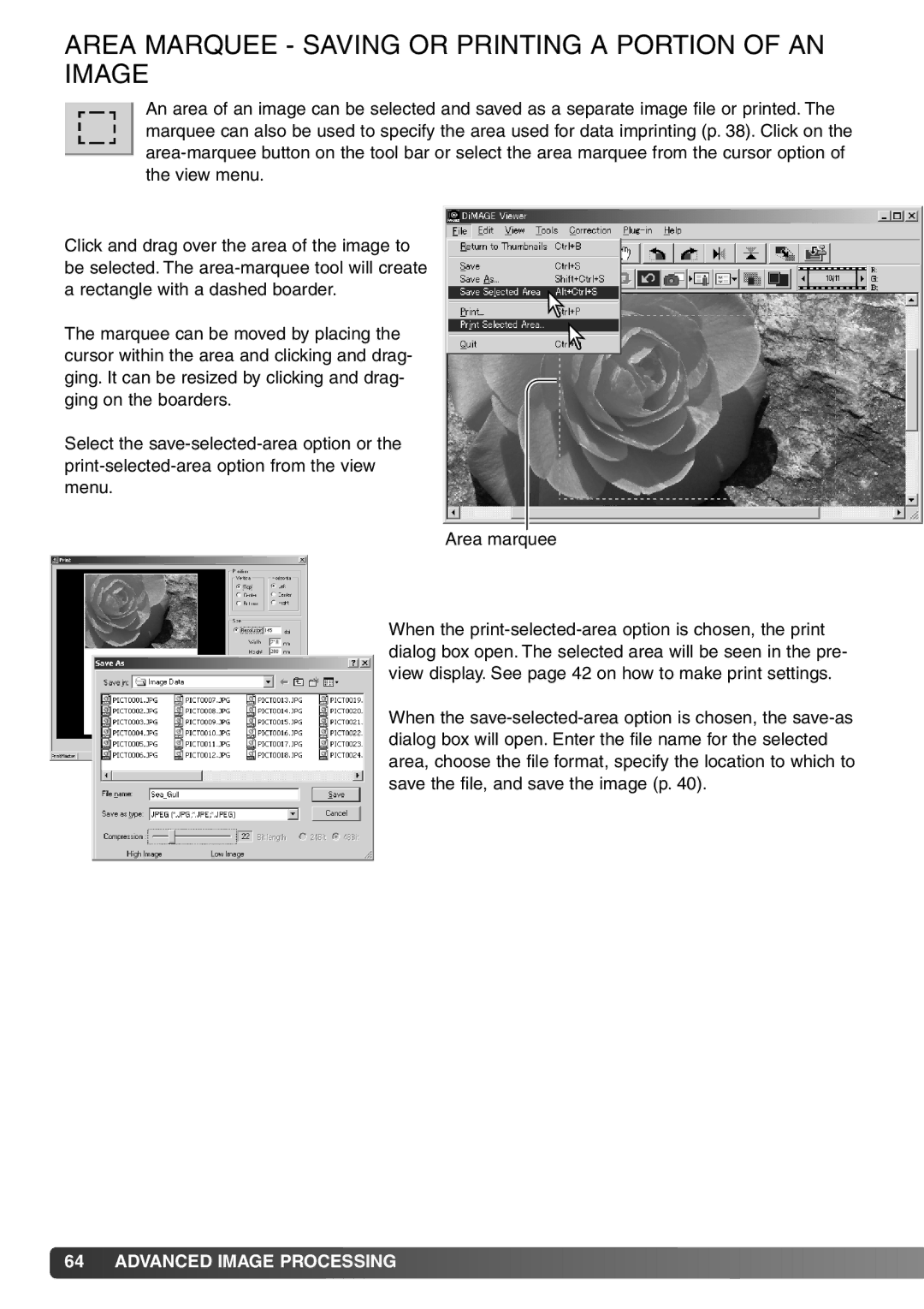 Minolta DiMAGE Viewer instruction manual Area Marquee Saving or Printing a Portion of AN Image 