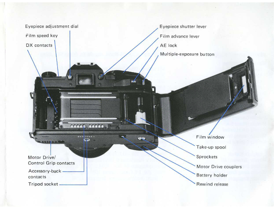 Minolta Maxxum 9000 manual 