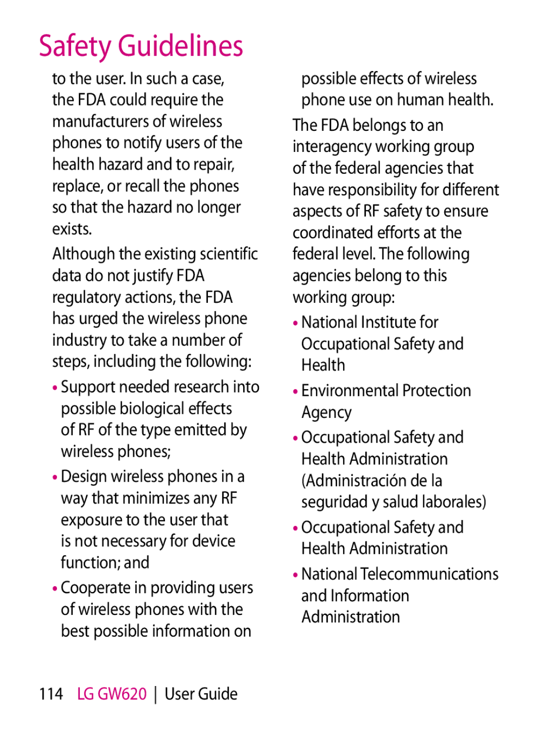 Mitel GW620 manual Safety Guidelines 