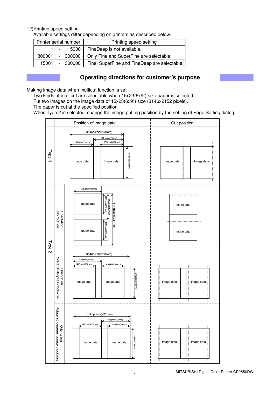 Mitsubishi Electronics CP9550DW1 manual Operating directions for customer’s purpose, Type 