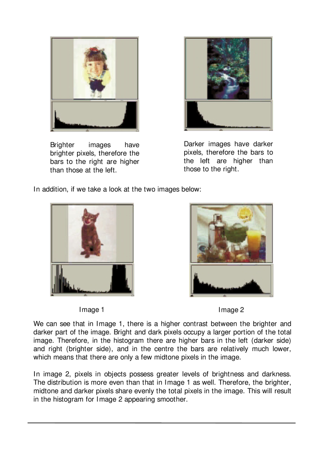 Mitsubishi Electronics DV1248ST user manual Image 