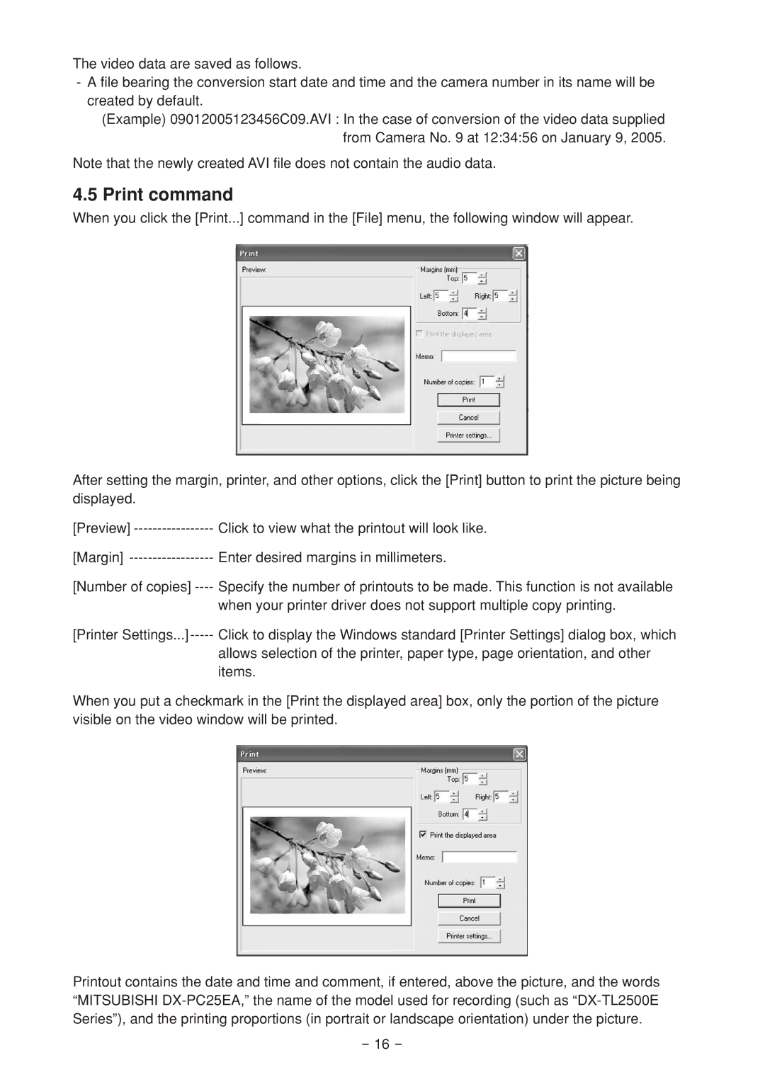 Mitsubishi Electronics DX-PC25EA operation manual Print command 