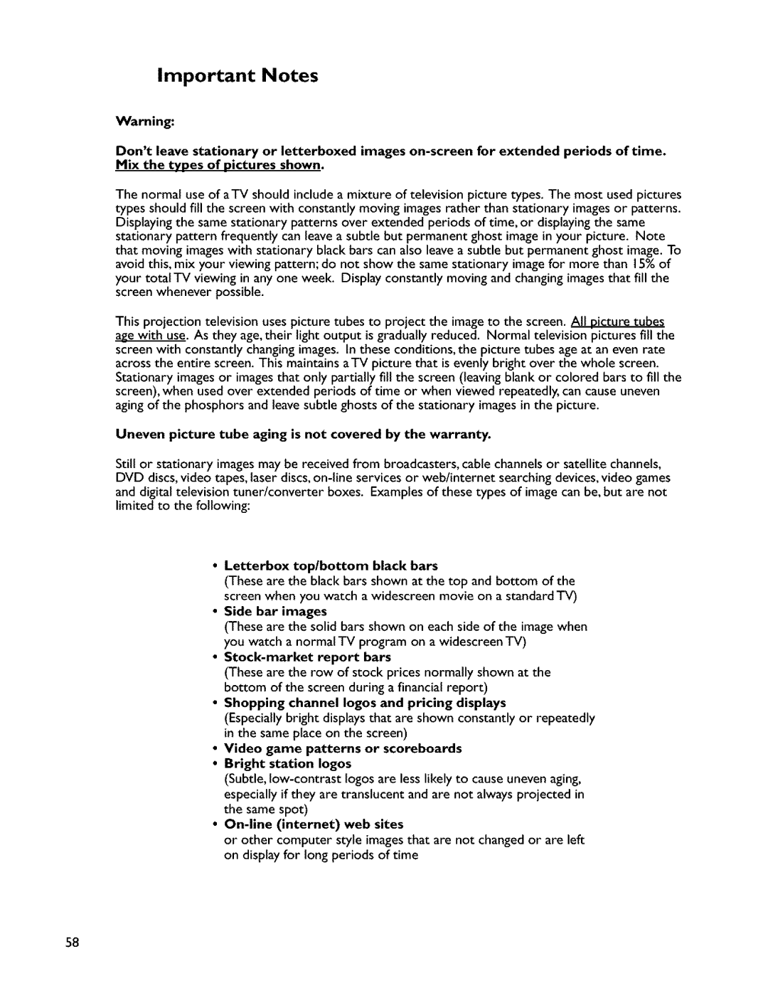 Mitsubishi Electronics VS-45607 manual Important Notes 