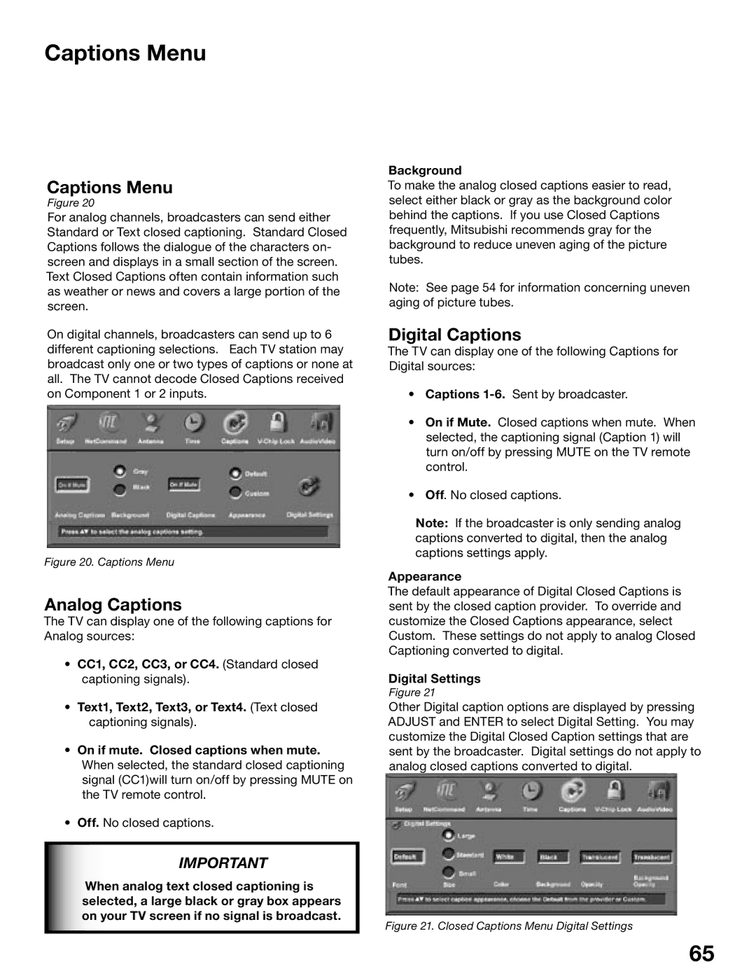 Mitsubishi Electronics WS-55815, WS-65815 manual Captions Menu, Analog Captions, Digital Captions 