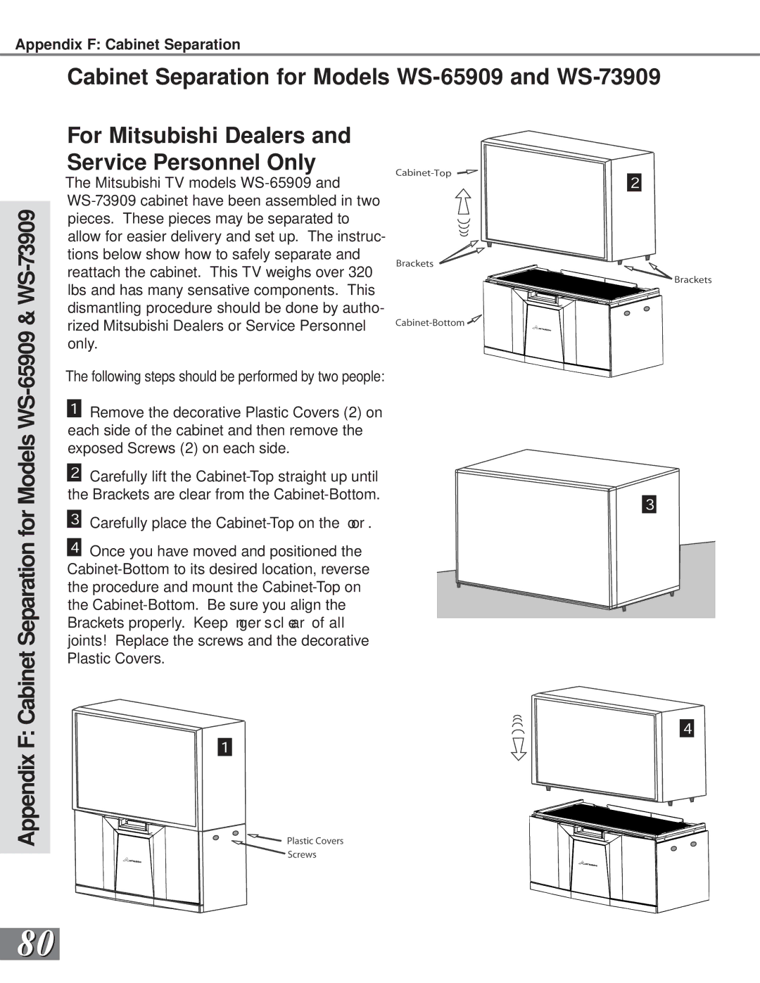 Mitsubishi Electronics WS-73909, WS-65909, WS-65869, WS-55859, WS-55909 manual For 