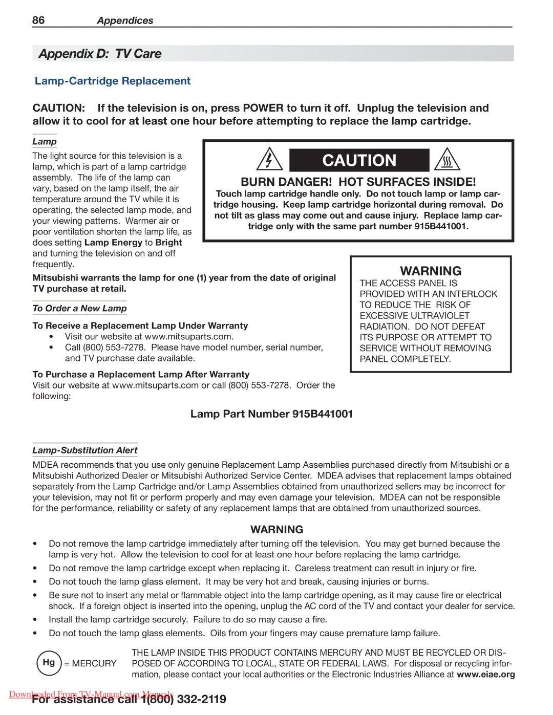 Mitsumi electronic 838 Series Appendix D TV Care, Lamp-Cartridge Replacement, To Order a New Lamp, Lamp-Substitution Alert 