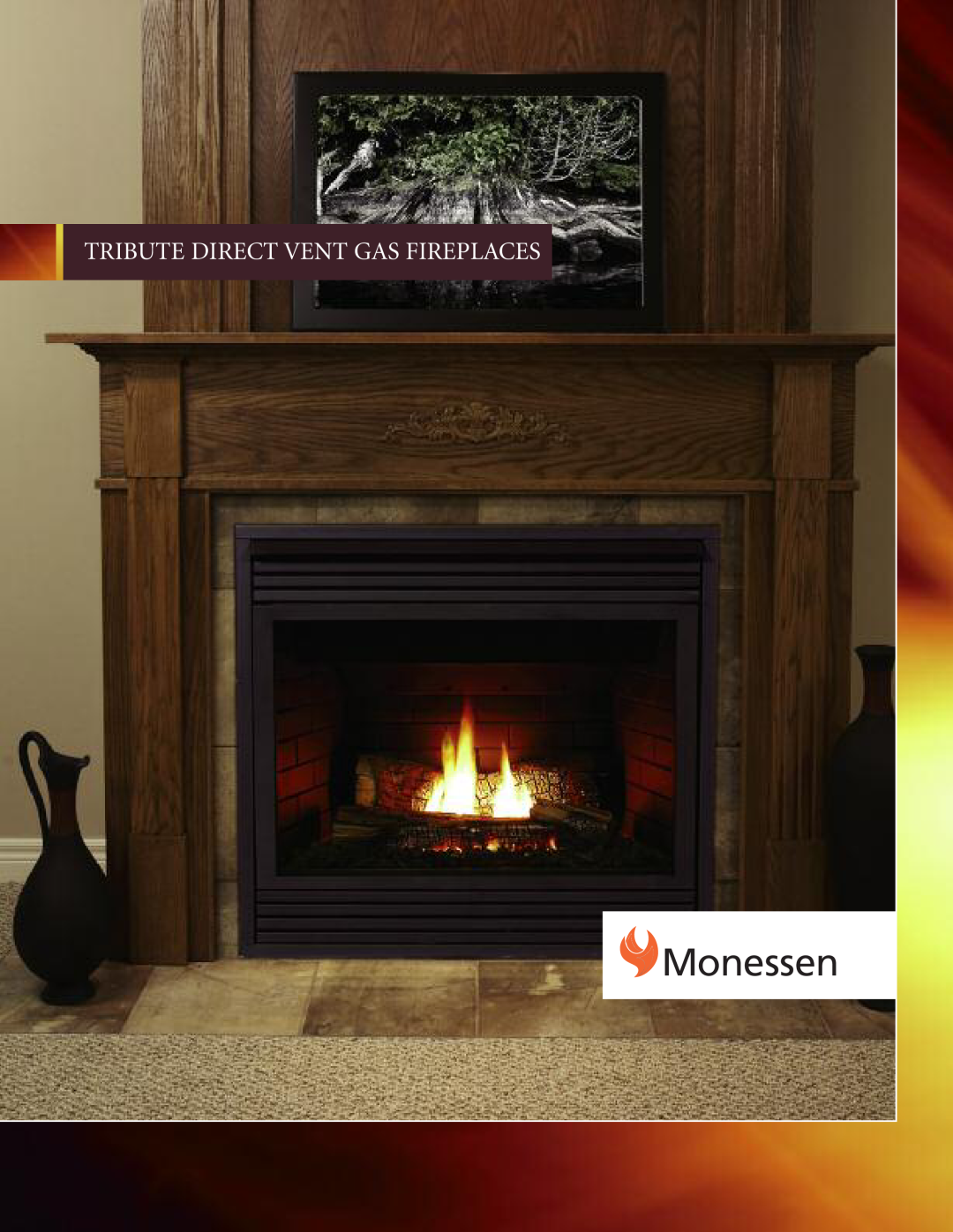 Monessen Hearth 36CDVXRRN manual Monessen, Tribute Direct Vent Gas Fireplaces 