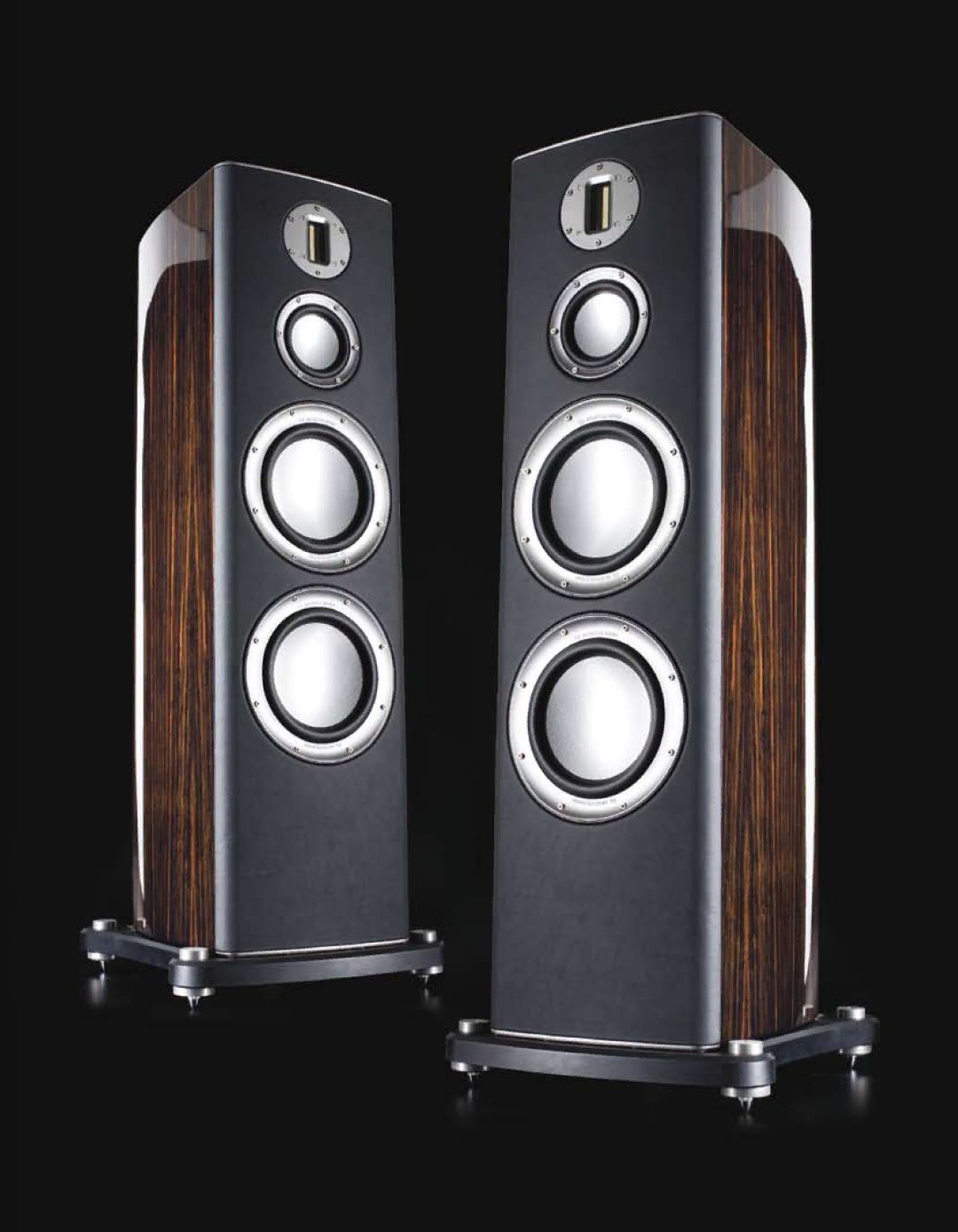 Monitor Audio Platinum Series manual 